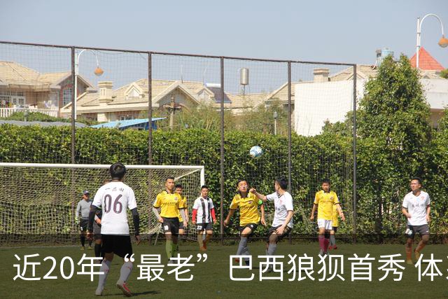 近20年“最老”巴西狼狈首秀 体系遭拆解平局已是侥幸